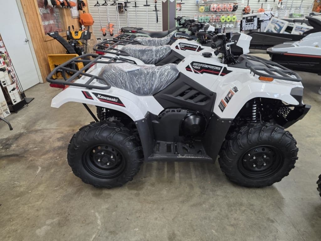 Image of Kawasaki Brute Force 450 Primary Image