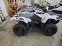 2025 Kawasaki Brute Force 450 Image