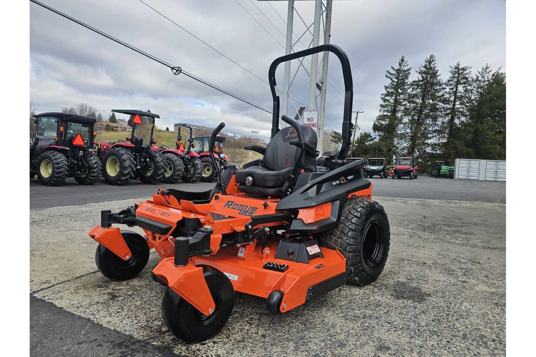 Image of Bad Boy Rogue Primary image