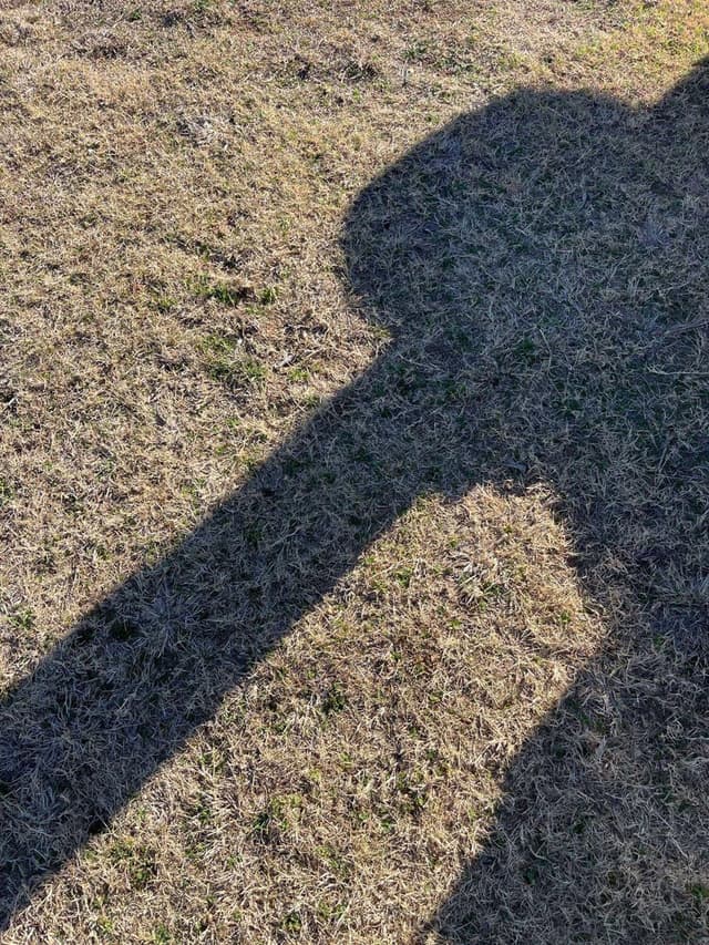 Image of Woods BW12.40 equipment image 2