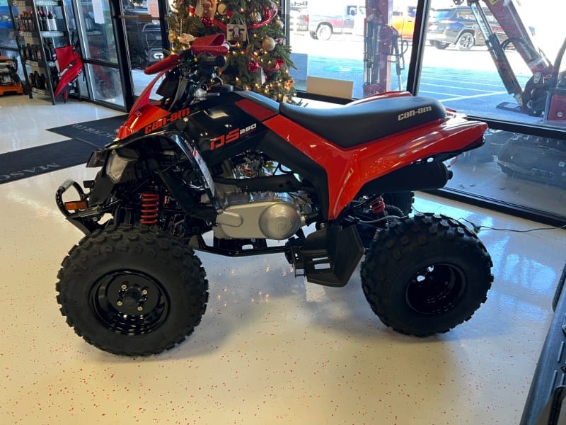 2026 Can-Am DS250 Equipment Image0