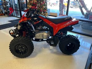 2026 Can-Am DS250 Image