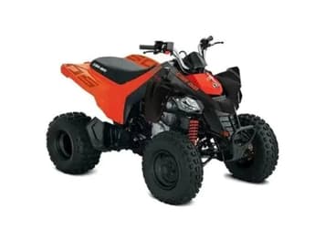 Main image Can-Am DS250