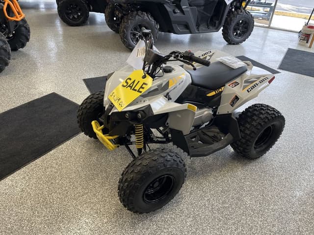 Image of Can-Am Renegade 110 equipment image 1