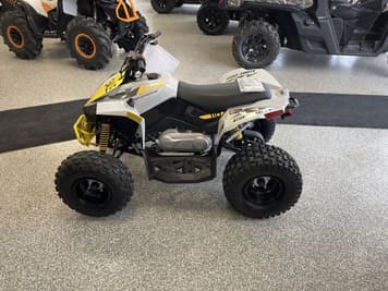 Main image Can-Am Renegade 110