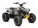 2026 Can-Am Renegade 110 EFI Image