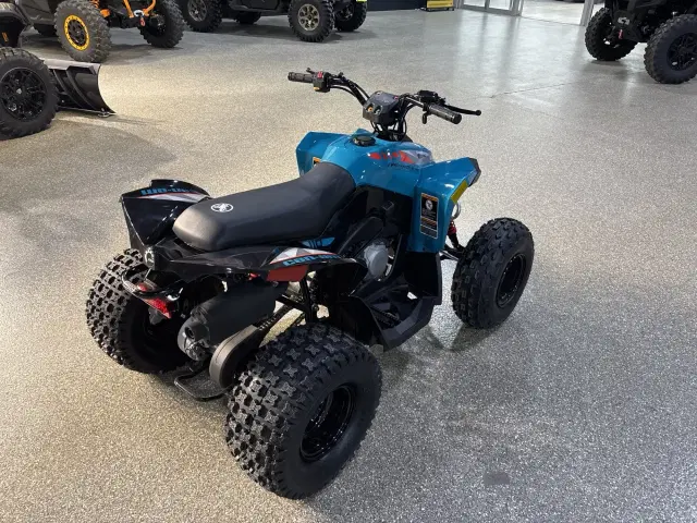 Image of Can-Am Renegade 110 EFI equipment image 2
