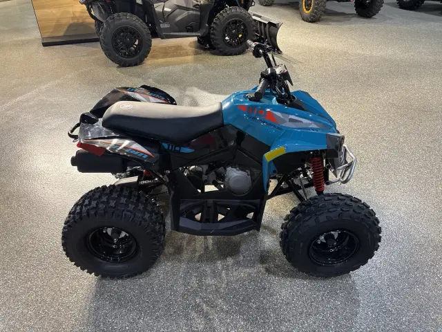 Image of Can-Am Renegade 110 EFI equipment image 1