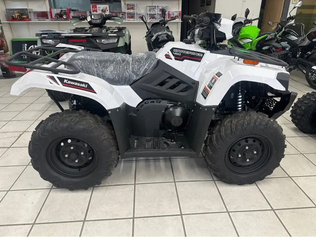 Image of Kawasaki Brute Force 450 Primary Image