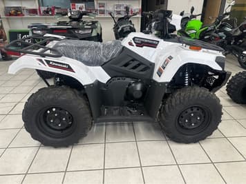 Main image Kawasaki Brute Force 450