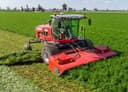 2026 Massey Ferguson WR265 Image