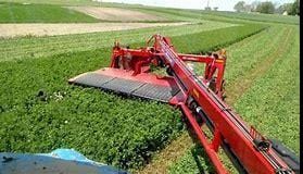 2026 New Holland Discbine 310 Plus Equipment Image0