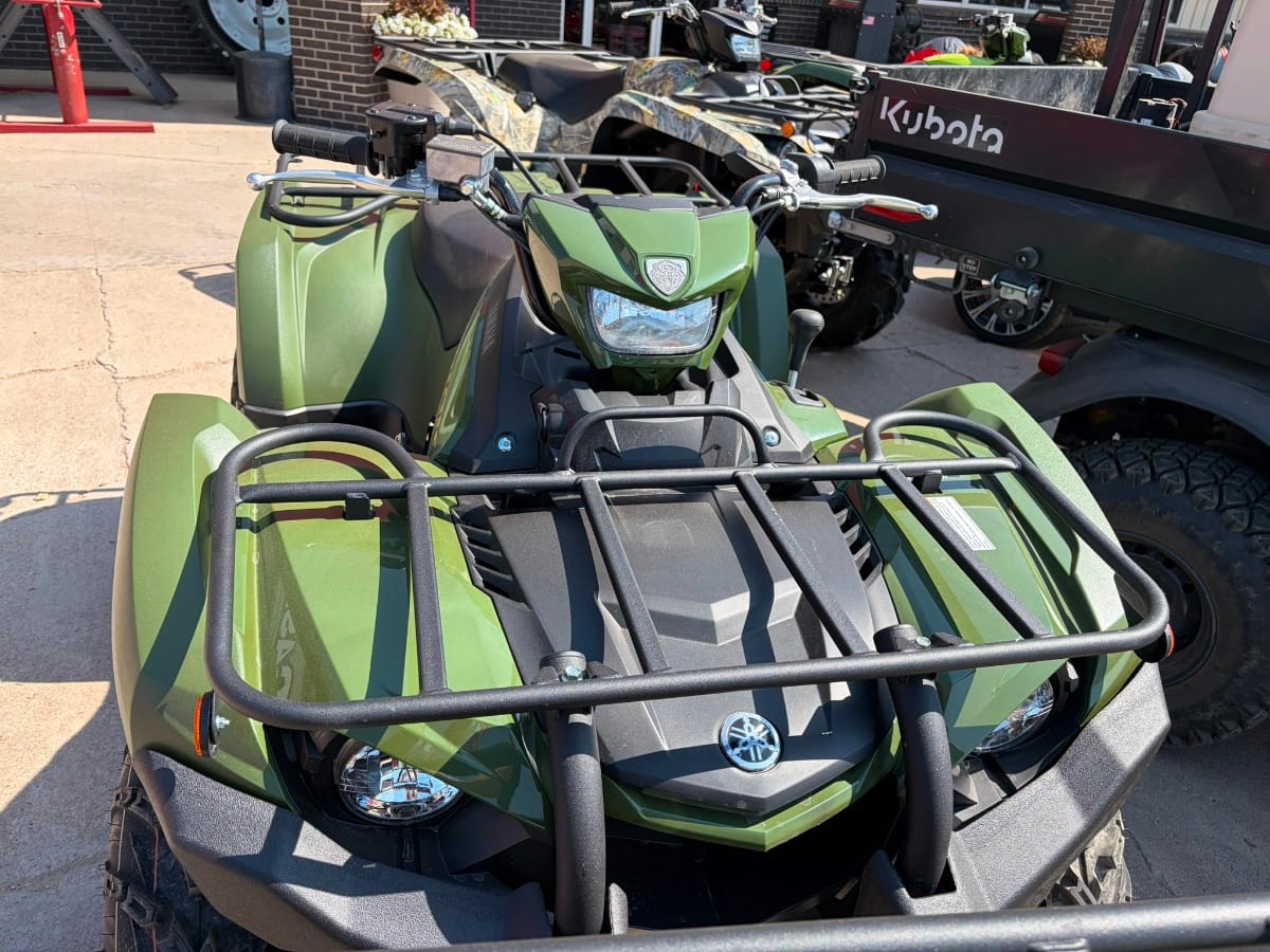 Yamaha Kodiak 450 Equipment Image0