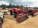 Massey Ferguson 1250 Image