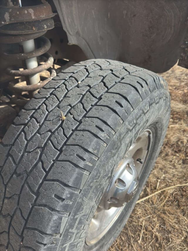 Image of Dodge Ram 2500 equipment image 3