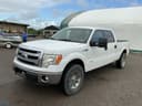 2013 Ford F-150 Image