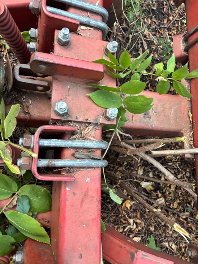 Image of White 445 equipment image 4