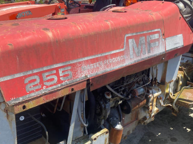 Image of Massey Ferguson 255 equipment image 3