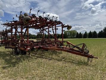 Main image Sunflower 5135