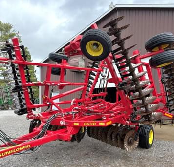 Main image Sunflower 6630