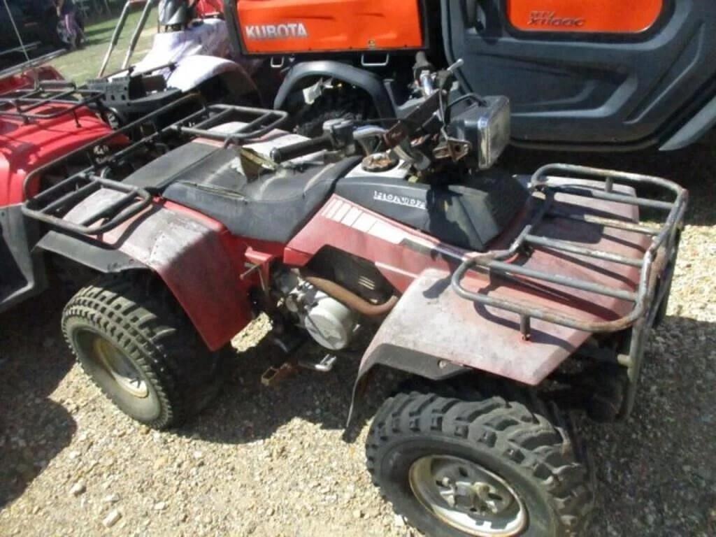 Image of Honda Fourtrax 250 Image 0