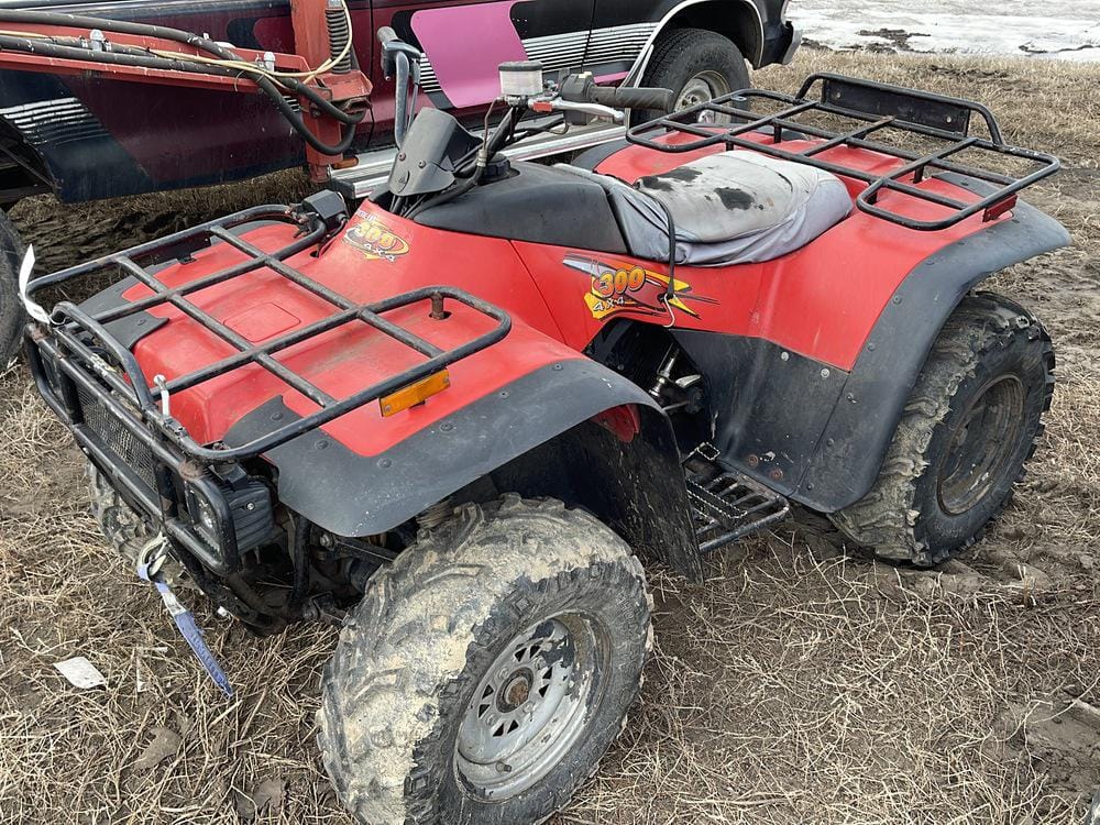 Main image Arctic Cat 300