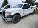2011 Ford F-150 Image
