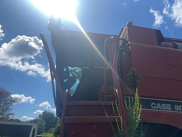 Image of Case IH 1688 equipment image 4