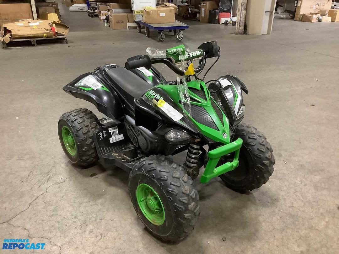 Image of Yamaha Raptor 700 Primary image