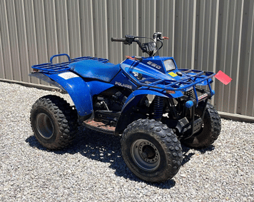 Main image Polaris 250