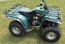 1992 Yamaha Timberwolf Image