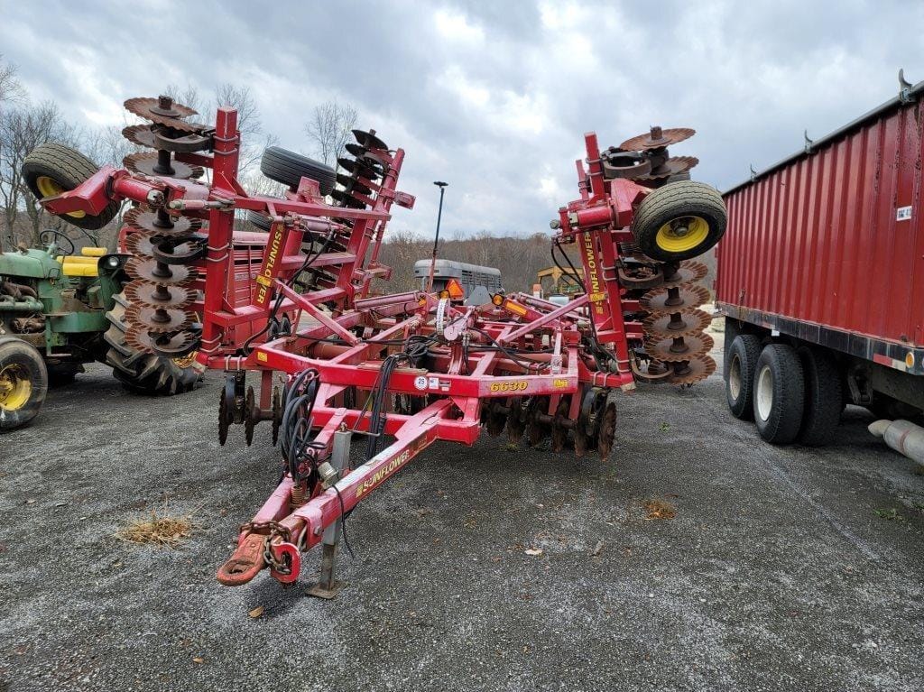 Main image Sunflower 6630