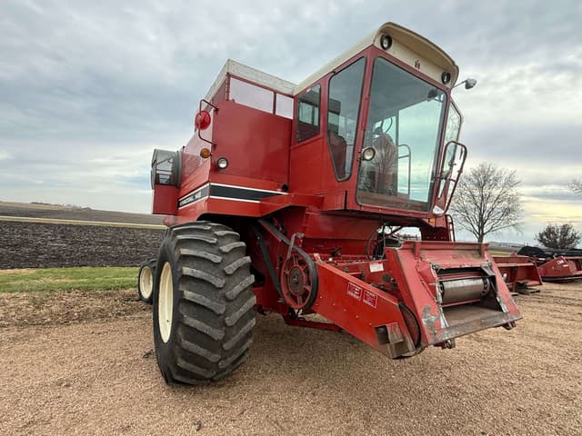 Image of International Harvester 1460 equipment image 2