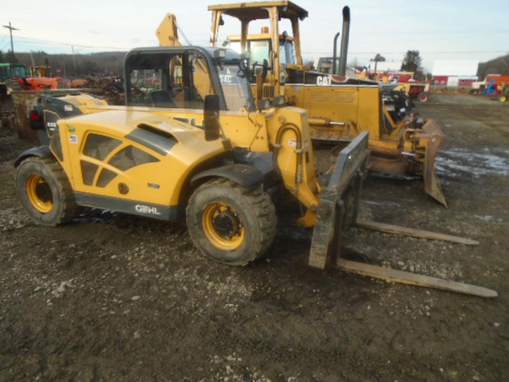 Main image Gehl RS5-19