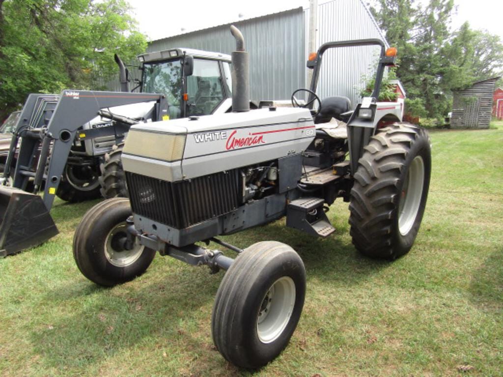 Main image White American 80