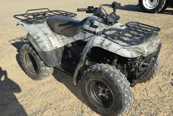 Main image Kawasaki Prairie 360