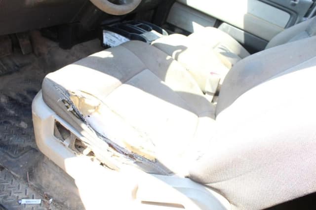 Image of Ford F-150 equipment image 1