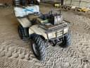 2002 Honda TRX250TM Image