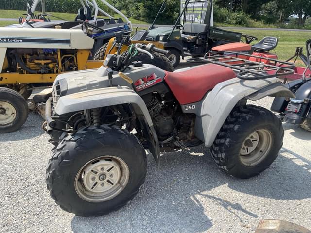 Image of Big Bear 350 equipment image 2