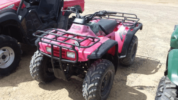 Main image Honda Fourtrax