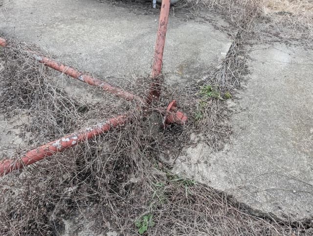 Image of Feterl 8x28 equipment image 3