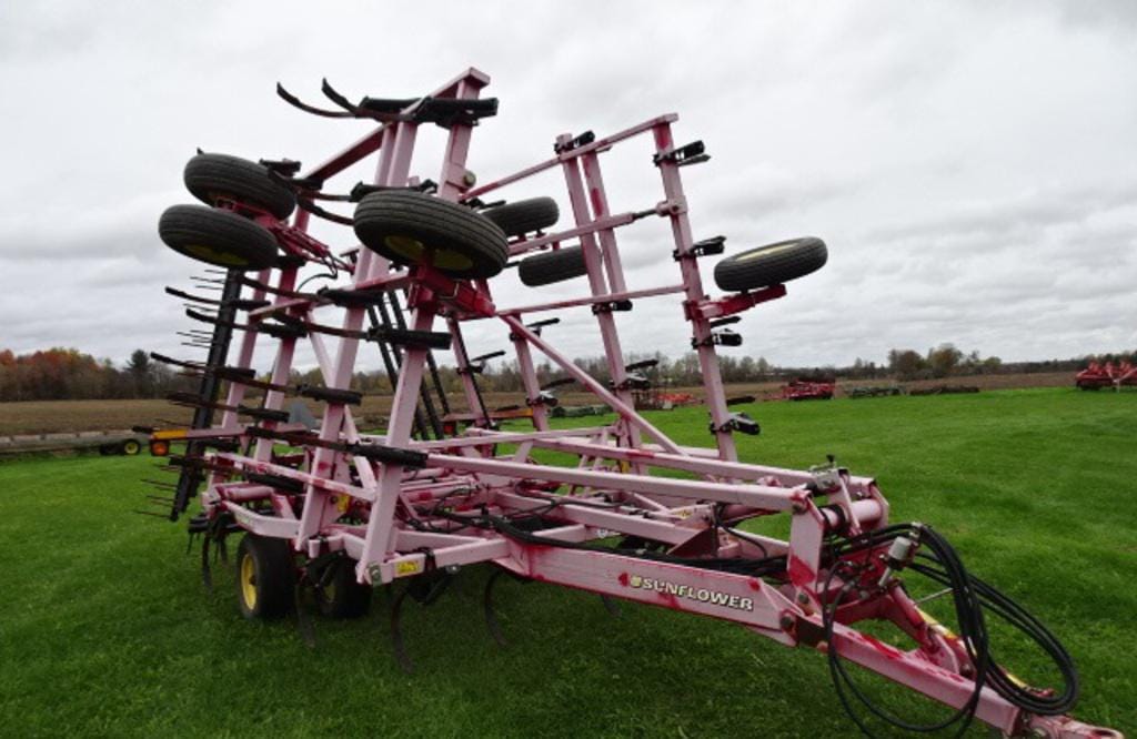 Main image Sunflower 5035