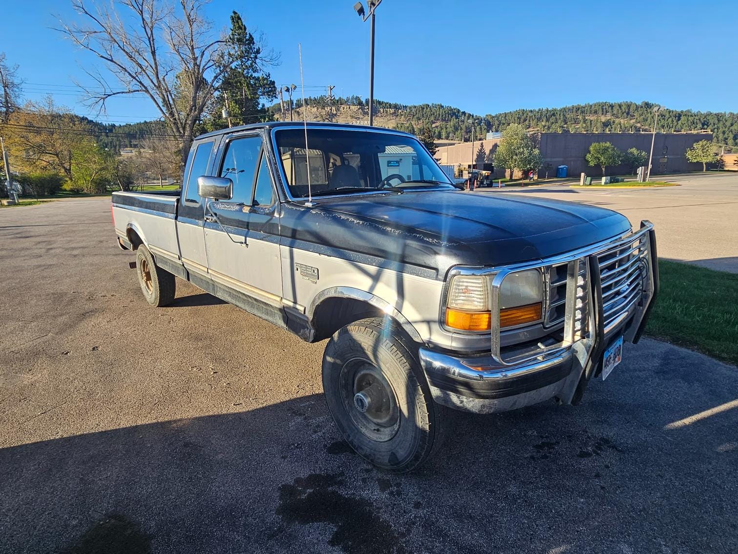 1995 Ford F-250 Equipment Image0