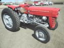 1969 Massey Ferguson 135 Image