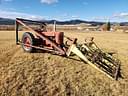 1951 Farmall M Image