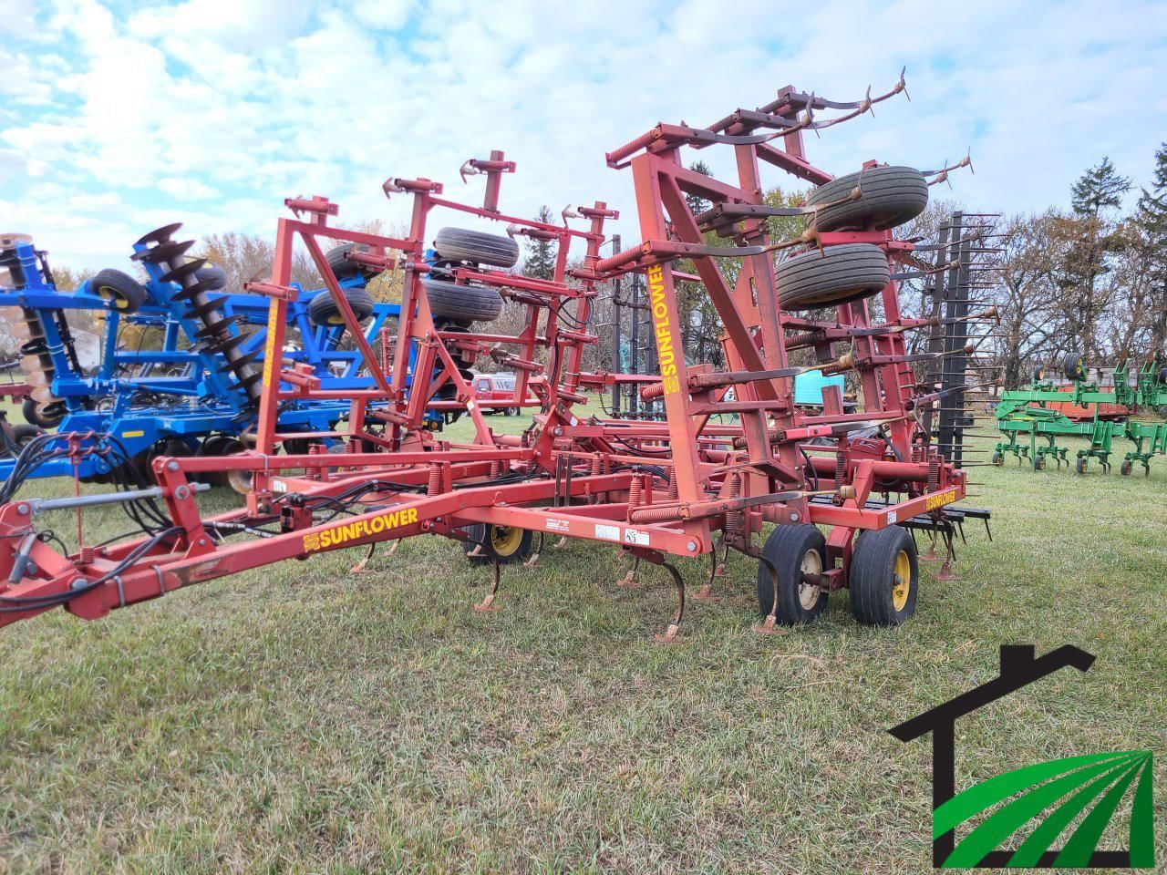 Main image Sunflower 5034