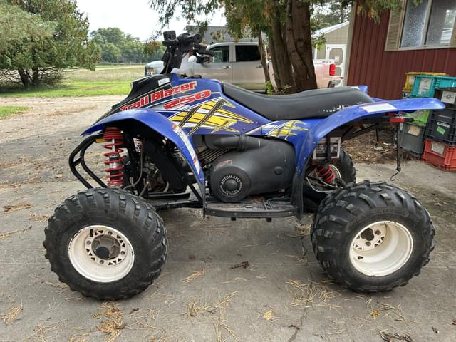 Image of Polaris Trail Blazer 250 equipment image 3