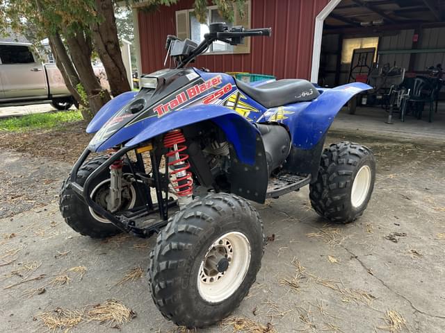 Image of Polaris Trail Blazer 250 equipment image 2