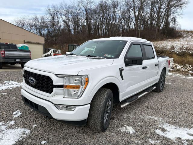 Image of Ford F-150 equipment image 1