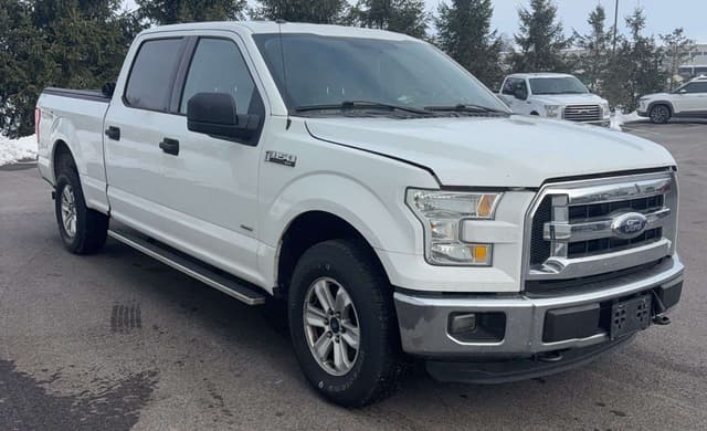 Image of Ford F-150 equipment image 4